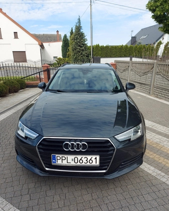 Audi A4 cena 68500 przebieg: 114000, rok produkcji 2017 z Praszka małe 56